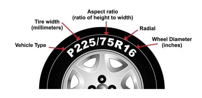 how to find tire size for snow chains