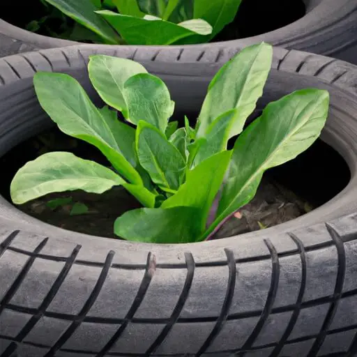Is It Safe to Grow Vegetables in Old Tires? The Ultimate Guide