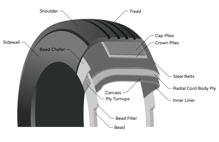 structure of a tire